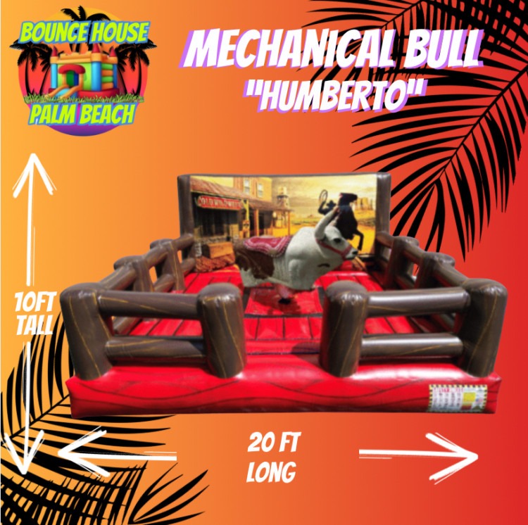 Mechanical Bull